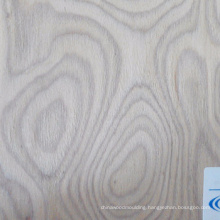 rotary cut beech veneer